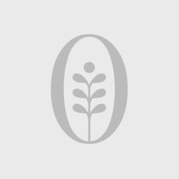 Я/мы нарциссы