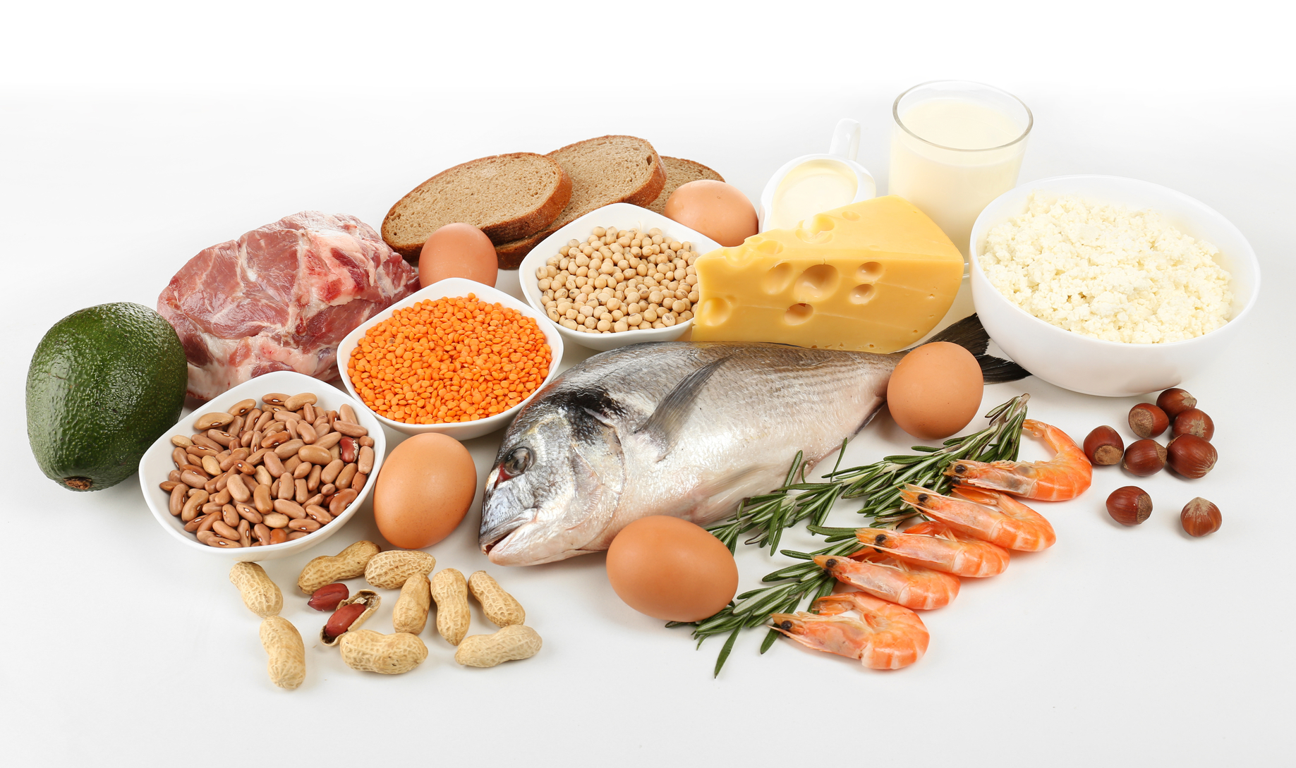 Пищевые источники белка
