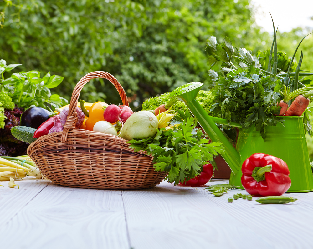 Смесь органических продуктов. Organic Vegetables.