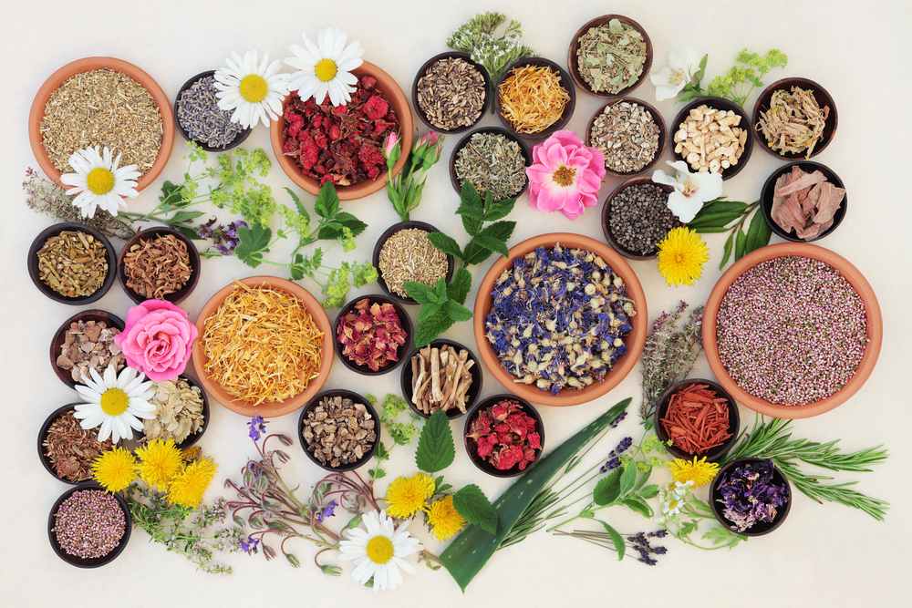 Как провести каникулы и не потерять здоровье. 5 советов от мастеров Аюрведы.