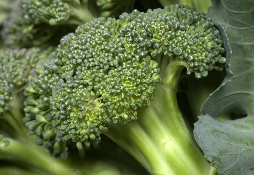 Капуста брокколи — природный суперфуд для продления жизни
