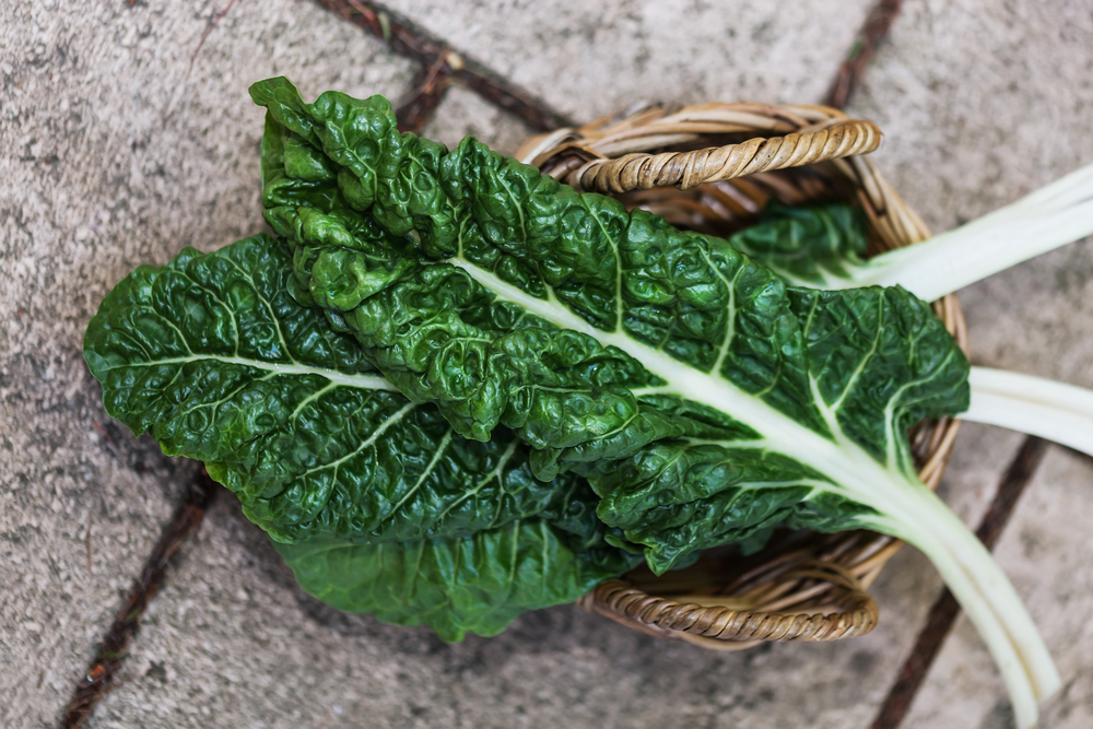 Оксалаты и роль бактерий в регулировании их уровня в организме