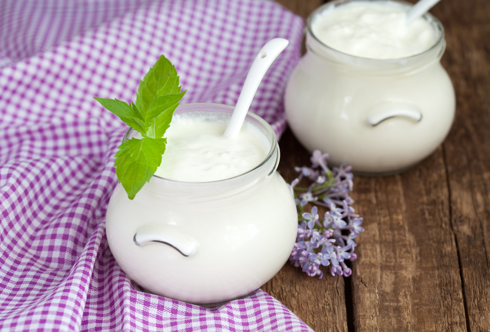 Бактерии, которые помогают жить: что вам надо знать про пробиотики и пребиотики