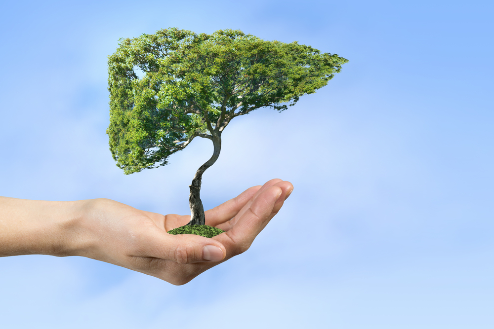 7 способов полюбить свою печень