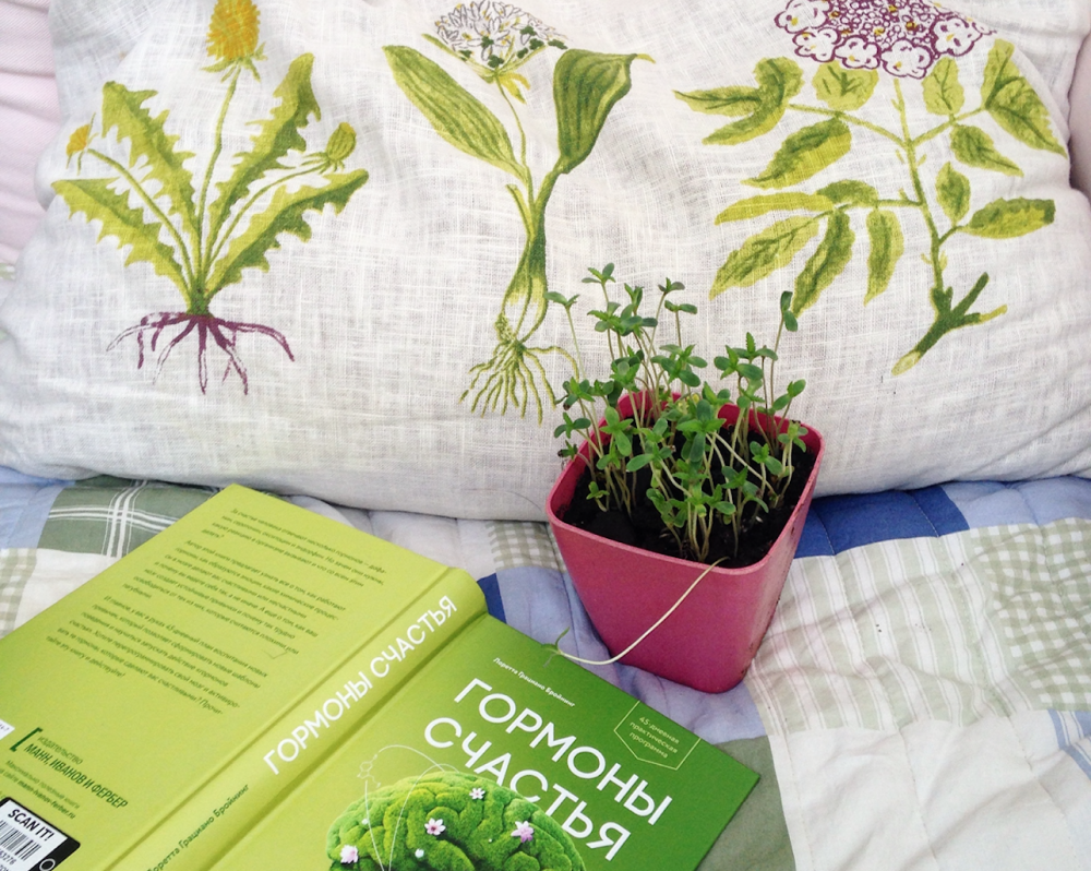 Что такое гормоны счастья и как с ними подружиться?