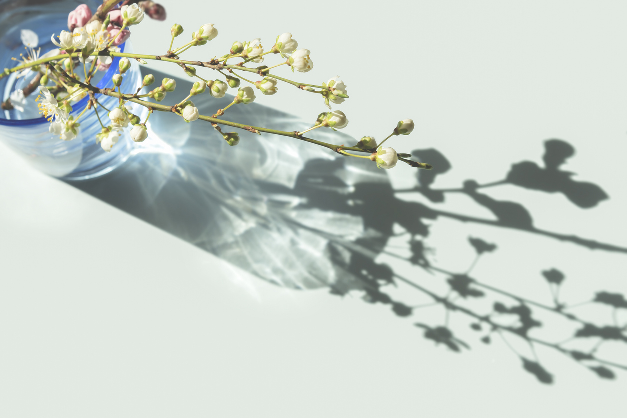 Вибрационный прогноз от lee на март 2023