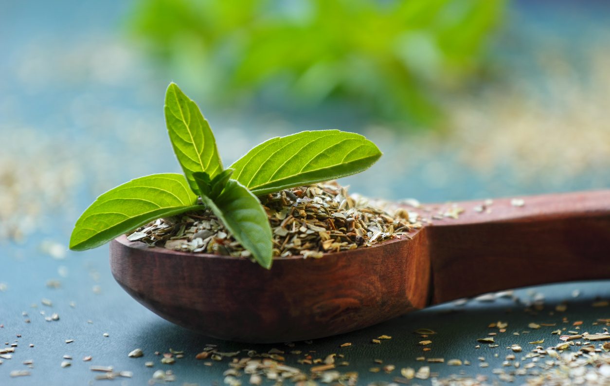 Чай Тулси: древняя трава для современной жизни