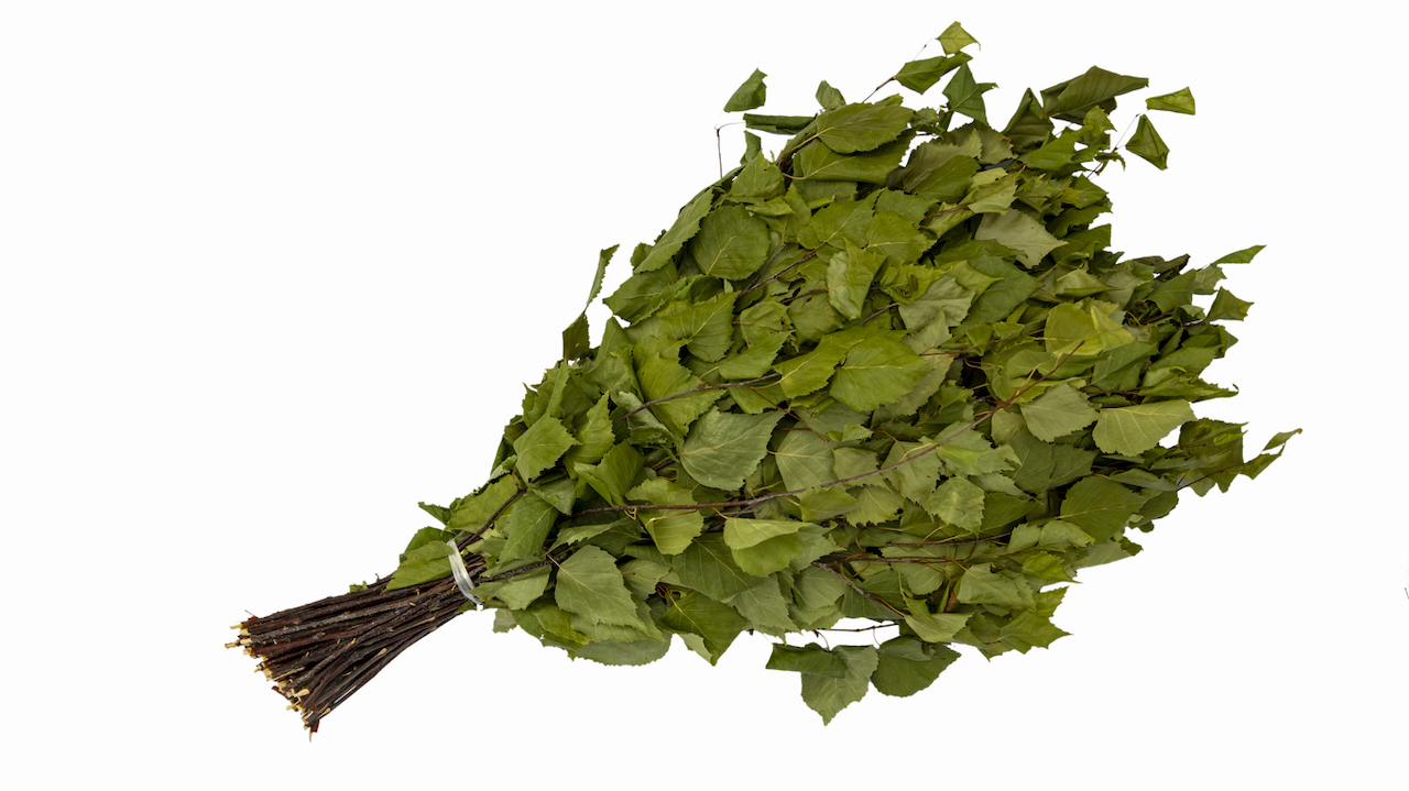 Русский банный веник: традиции, виды и правила использования