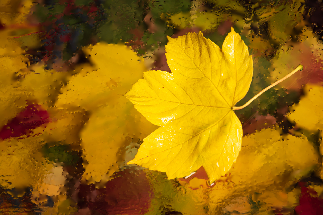 Вибрационный прогноз от lee на ноябрь 2023