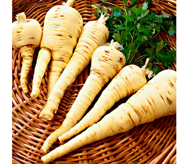 Осенний призыв: суперпродукты, чтобы не болеть (фото 2)