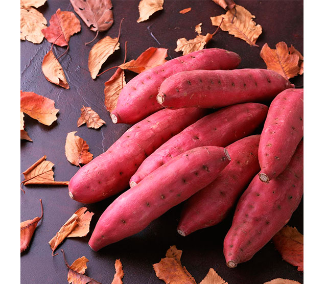 Осенний призыв: суперпродукты, чтобы не болеть (фото 9)