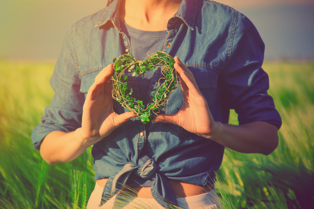 Сам себе эксперт: с чего начинается баланс?