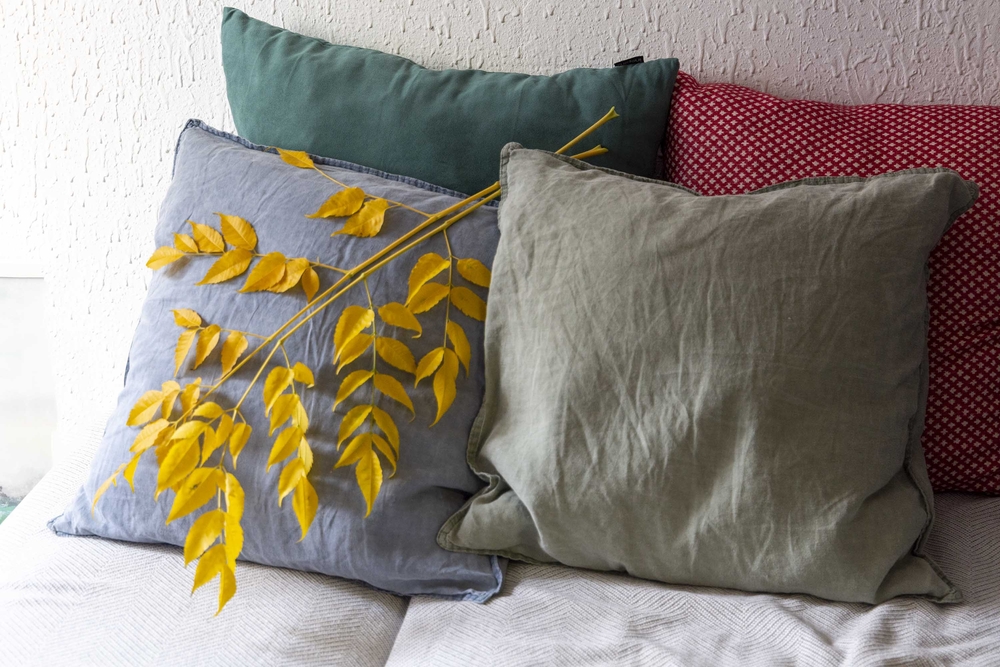 Октябрьский дайджест: принимаем меры против простуды и для иммунитета