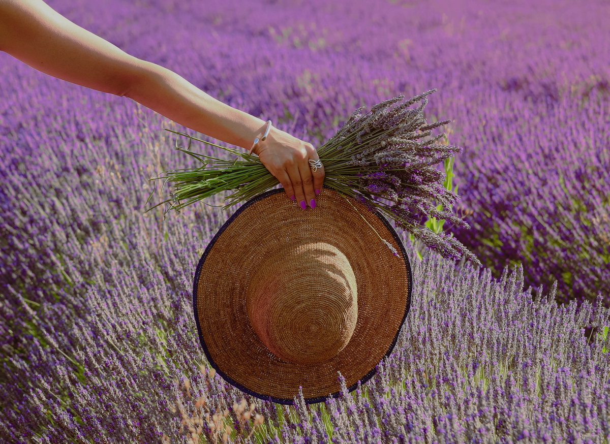 Гид Марики по Провансу: что смотреть, где есть