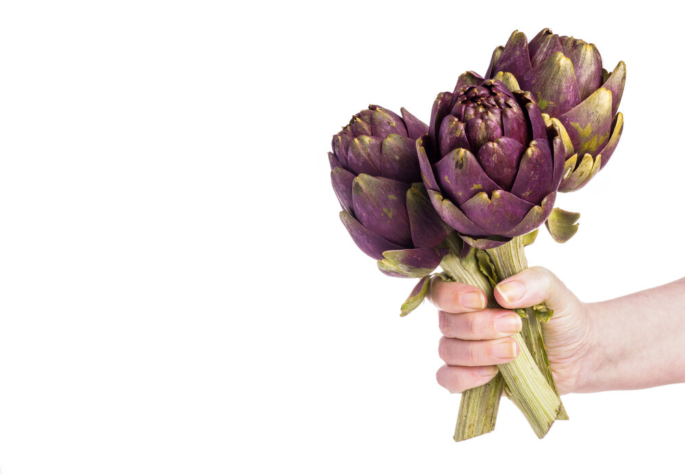 Желчь: функции, причины и признаки застоя и сгущения, способы активировать желчеотток