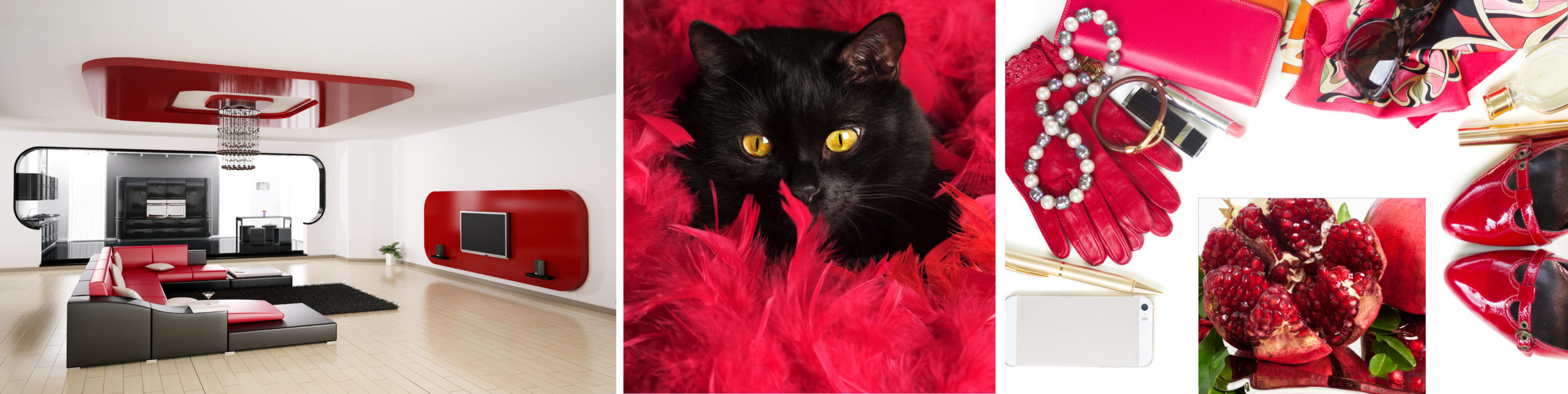 Still life of fashion woman