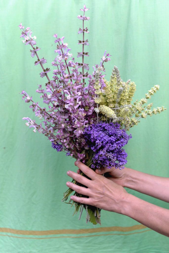 20464971_10212215803383020_891570446_o