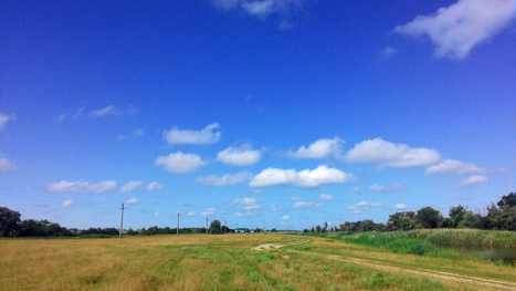 Без названия1