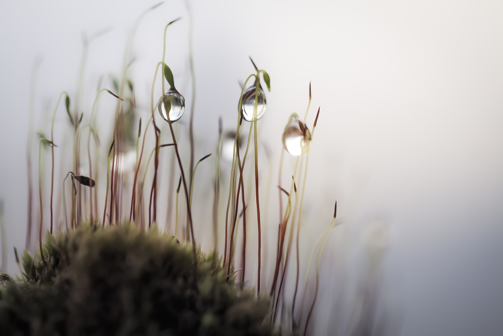 Вибрационный прогноз от lee на август 2020 года