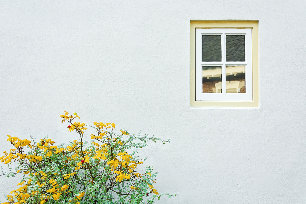 Вибрационный прогноз от lee на сентябрь 2020 года