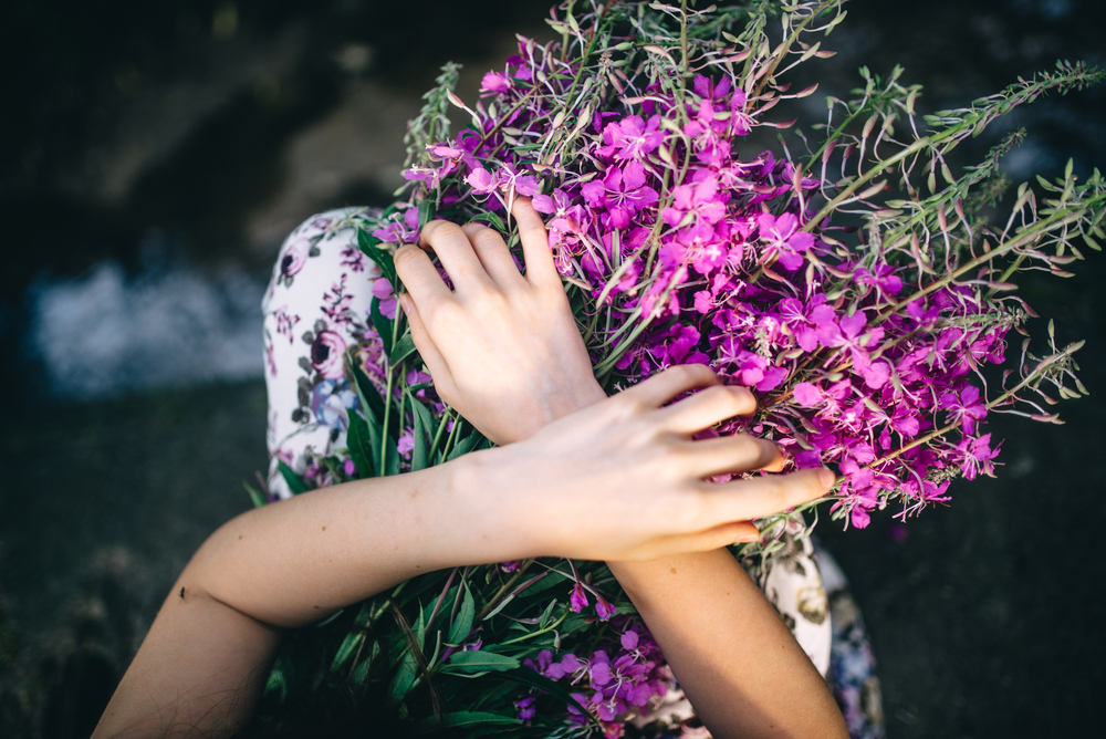 Сбор трав: цели и свойства