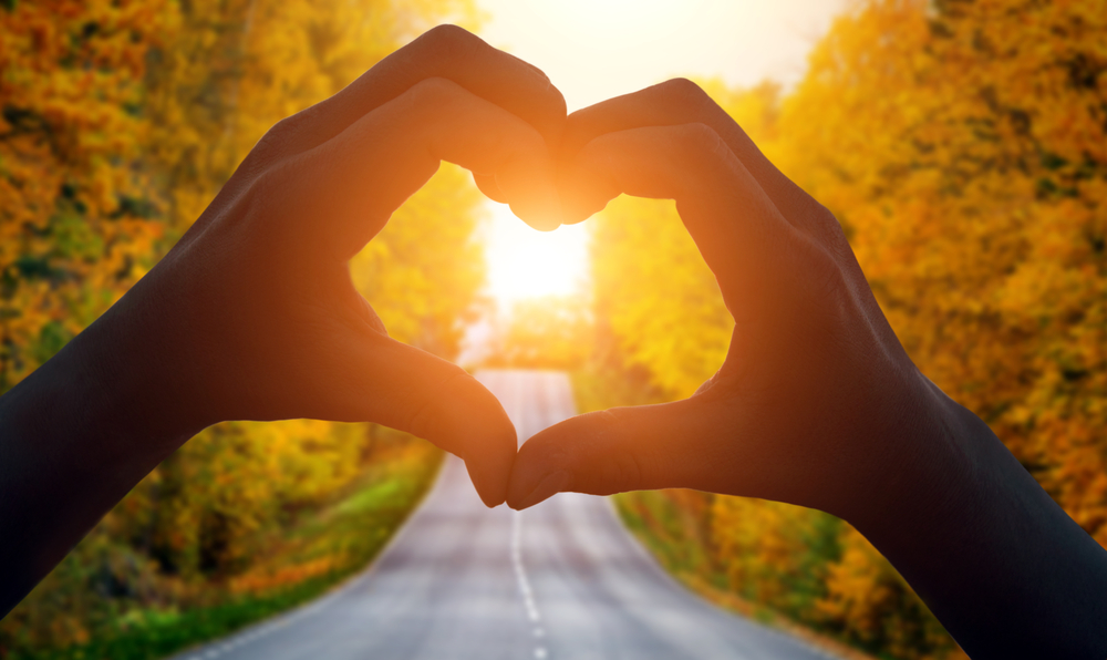 Вибрационный прогноз от lee на октябрь 2020 года