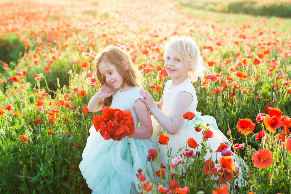 Три орешка для золушки, или семь секретов о сказках