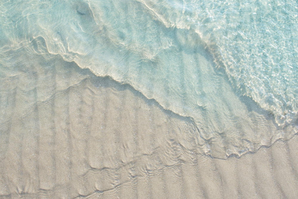 Вибрационный прогноз от lee на май 2020 года