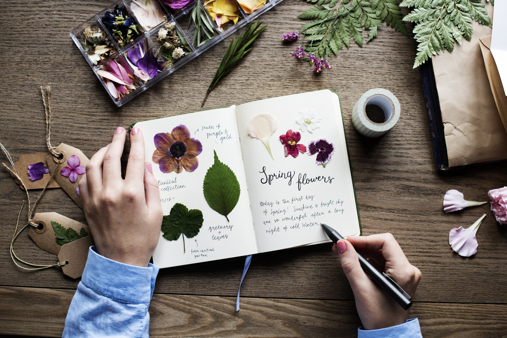 6 книг, которые позволят посмотреть на растения и живую природу с разных сторон