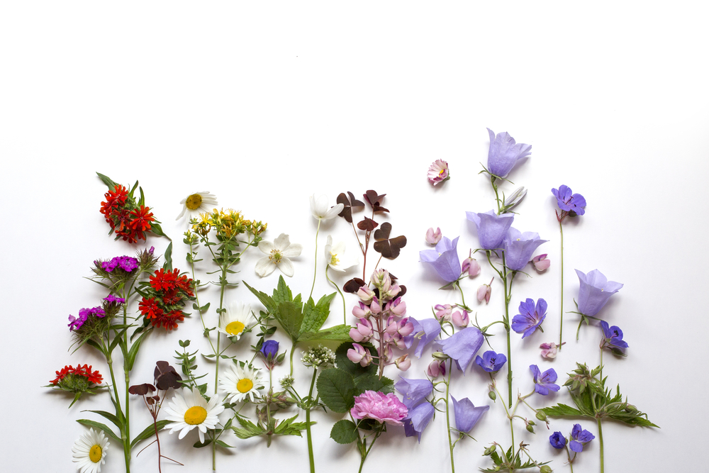 Мандала как путь к единению с природой