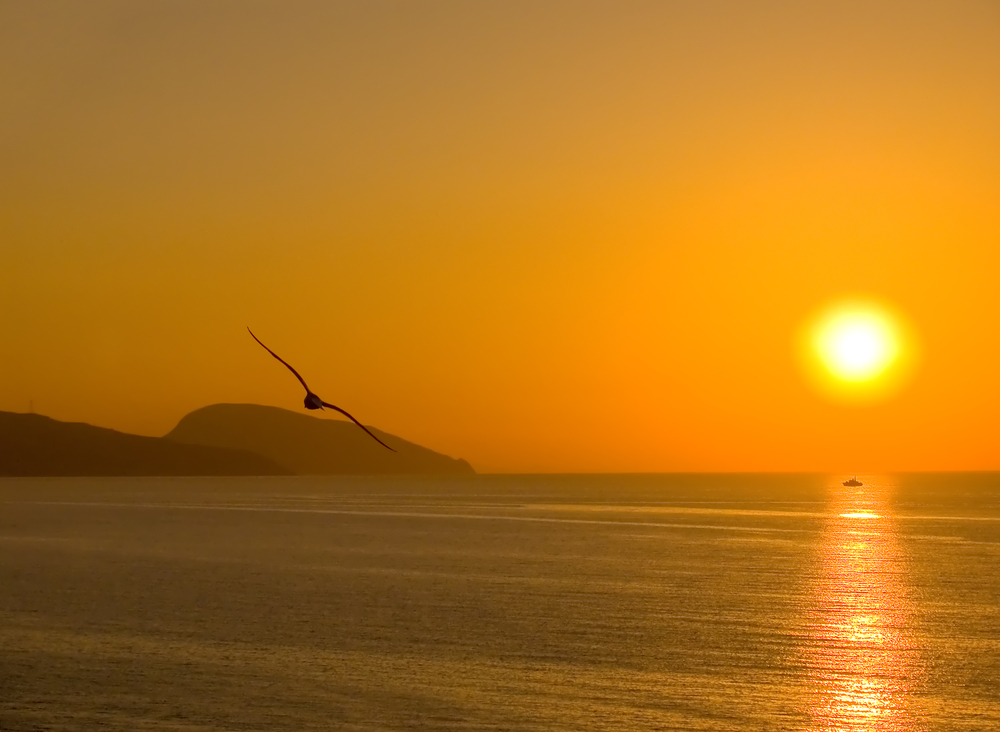 Доброе утро: медитация «Солнечное настроение»