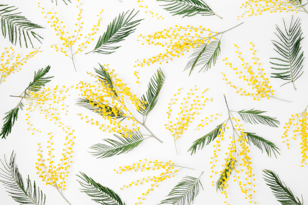 Рекомендации на март: для всех и для тех, кто рожден в марте