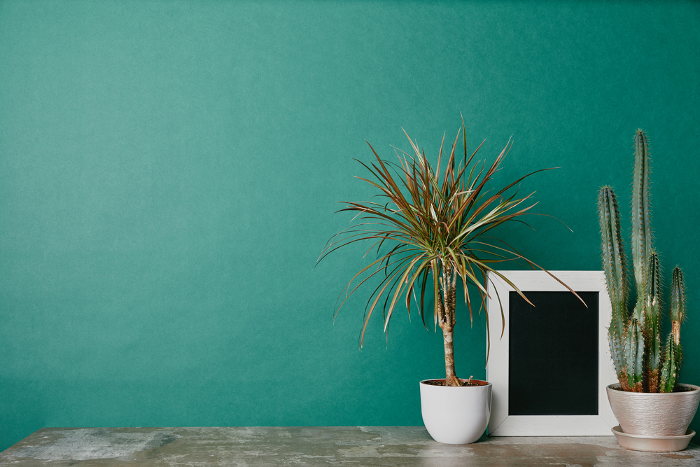 «Год без покупок»: вслед за вредными привычками, из моей жизни ушли и токсичные люди