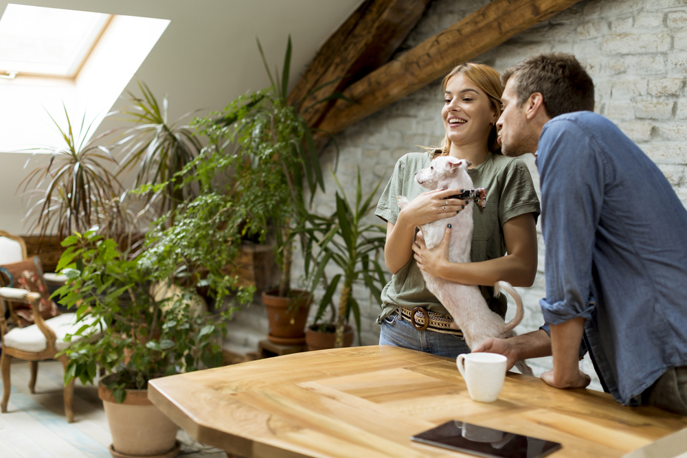 Васту: как гармонизировать «женскую» часть в доме