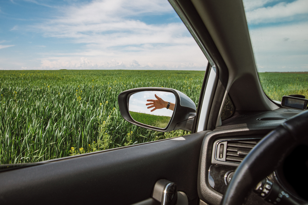 Вибрационный прогноз от lee на октябрь 2021