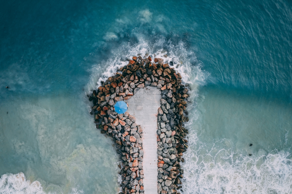 Вибрационный прогноз от lee на август 2021 год