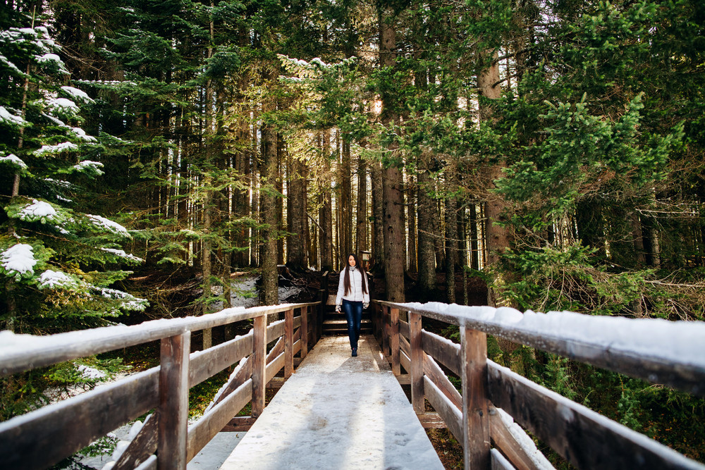 Вибрационный прогноз от lee на 2022 год