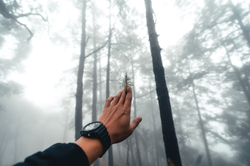 Вибрационный прогноз от lee на декабрь 2021 года