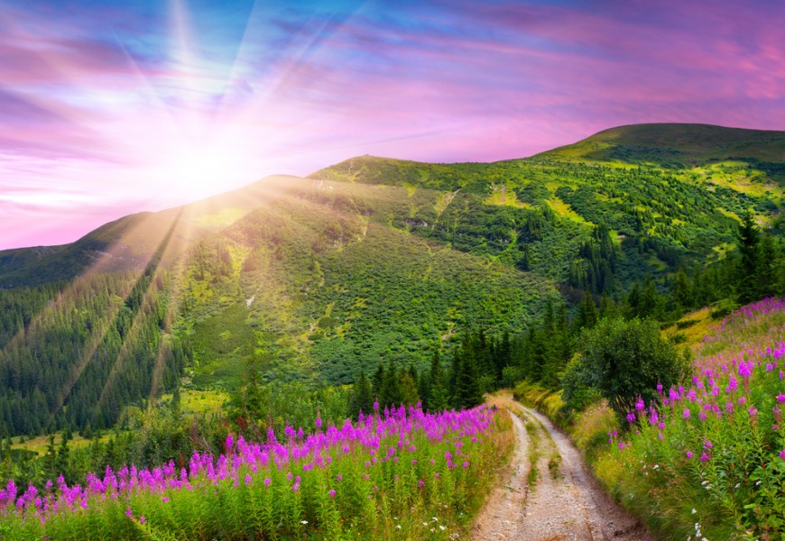 Вибрационный прогноз от lee на август 2017 года