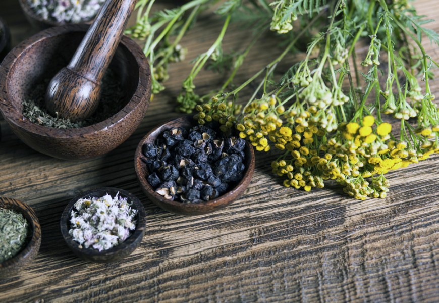 Дикоросы и уход за кожей: простые рецепты