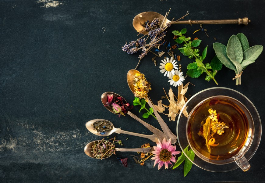 Сложный характер простых трав: как научиться понимать свойства дикоросов