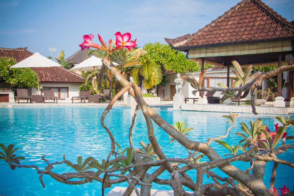 Танго в дни Ньепи. 1 часть