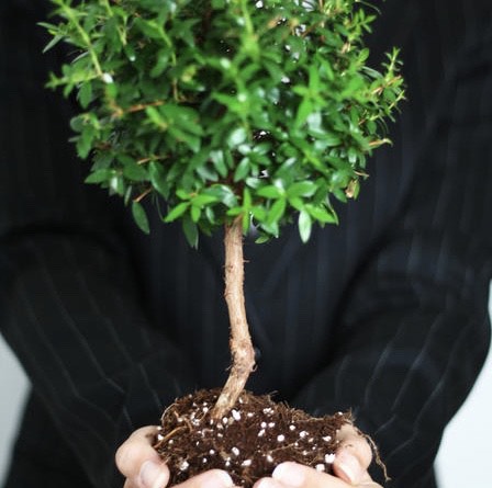 Вибрационный прогноз от lee на ноябрь 2019 года