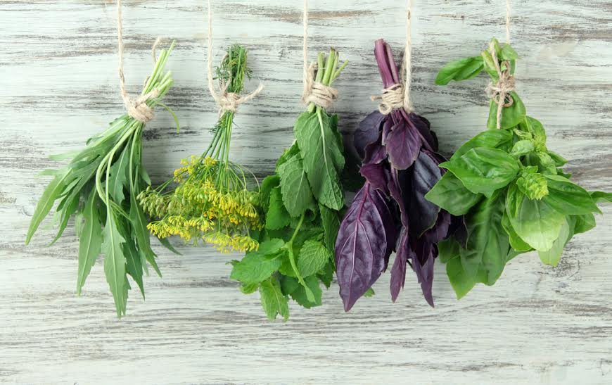 8 «домашних» растений, которые помогут вашей коже засиять