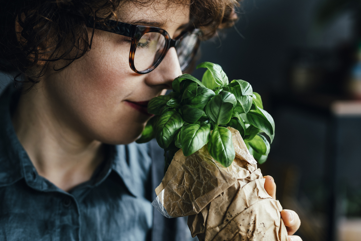 Базилик может улучшить качество сна у женщин в менопаузе