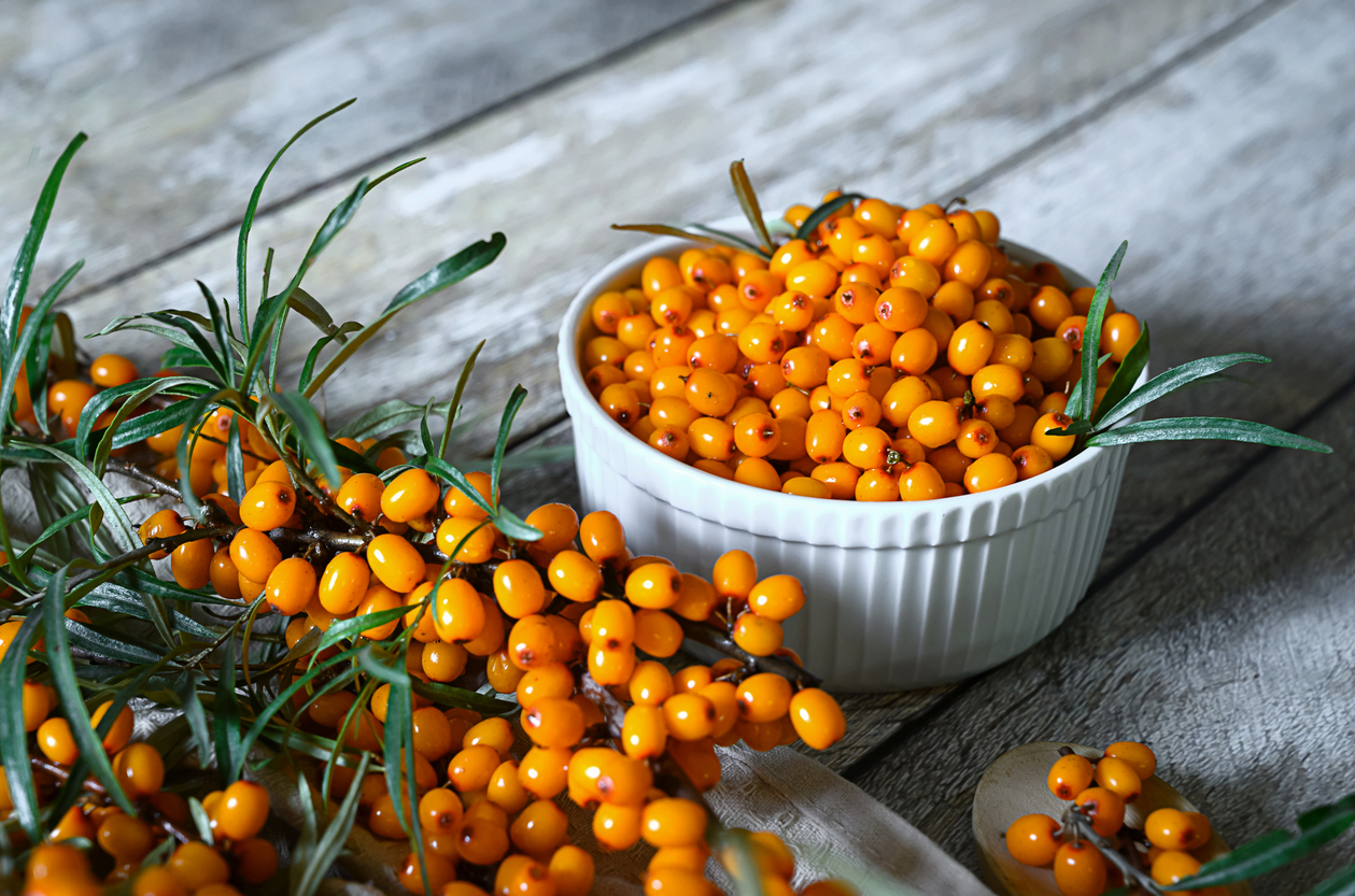 Сезонная ягода облепиха: польза и два полезных рецепта для здоровья