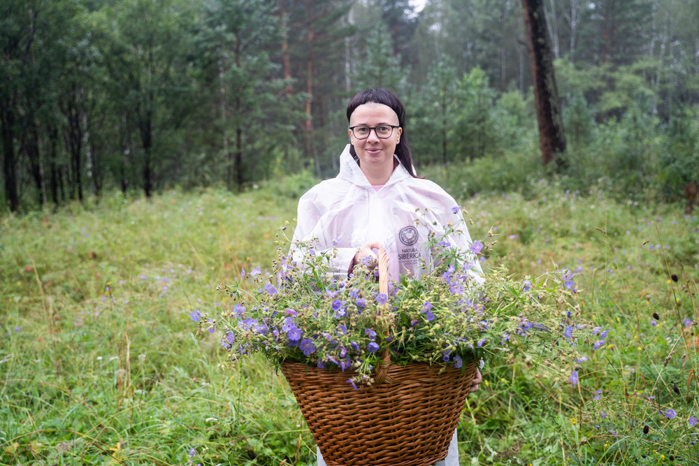 На берегах Енисея – как выращивают и собирают травы для органической косметики