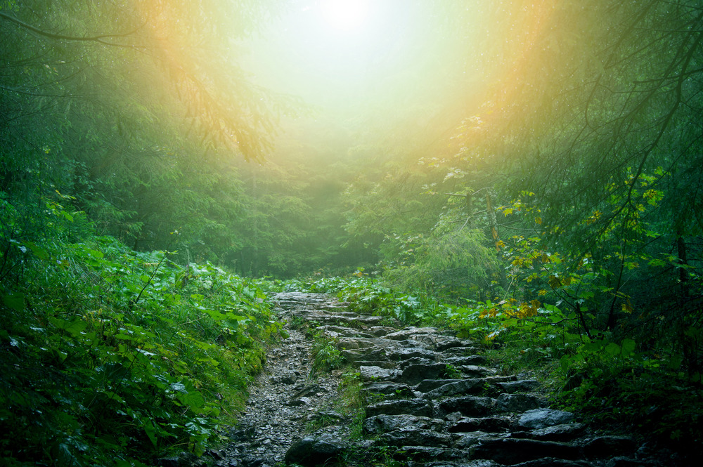 Июль 2019-го: Ключевая точка года