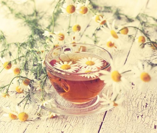 chamomile tea in glass cups on a wooden background
