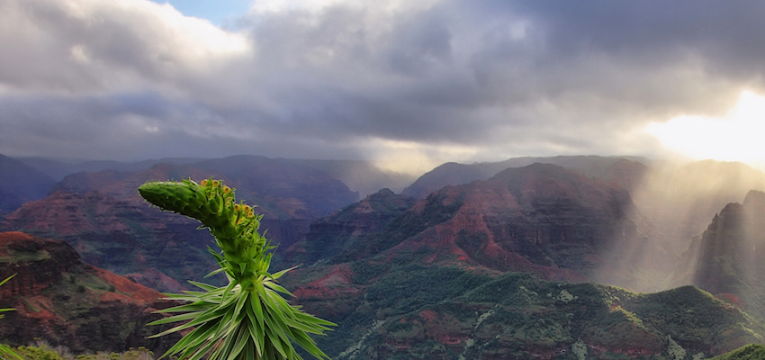 Восхитительные фото, которые вдохновят вас на покорение вершин